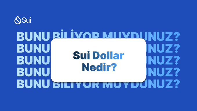A blue graphic features the Sui logo and the repeated Turkish text 'BUNU BİLİYOR MUYDUNUZ?' with a white box in the center asking 'Sui Dollar Nedir?'.