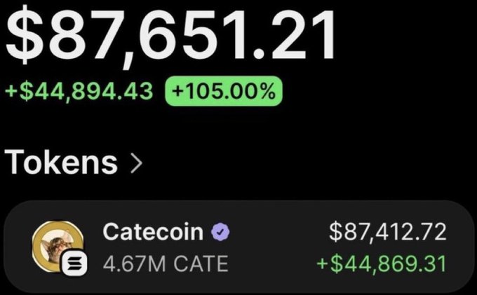 The image displays a cryptocurrency wallet showing a balance of $87,651.21, with the Catecoin token highlighted with a value of $87,412.72, indicating a significant profit. This aligns with the post's narrative of turning a small investment into thousands through $CATE.
