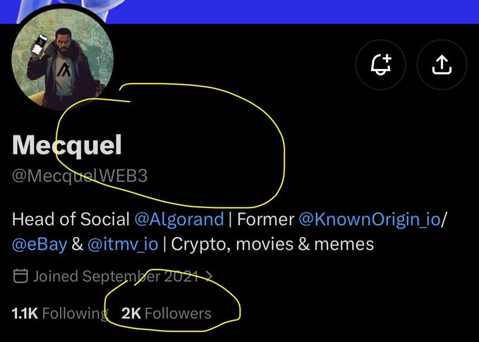 A Twitter/X profile for 'Mecquel' (@MecquelWEB3), Head of Social @Algorand, with 1.1K Following and 2K Followers circled in yellow.