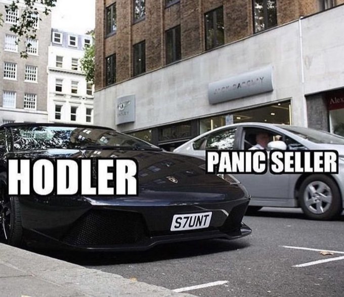 A black Lamborghini with "HODLER" text on it is parked next to a silver sedan with "PANIC SELLER" text on it, illustrating the difference in outcomes for crypto investors. The license plate on the Lamborghini reads "S7UNT".
