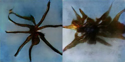 A side-by-side image showing two dark, spiky sea creatures or possibly spider-like marine organisms against a blue water background.