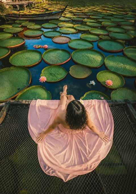 urns of water with green lily pads, pink flowers, and a boat on the water's surface create a serene scene.