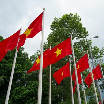 Multiple Vietnamese flags (red with a yellow star) wave on flagpoles against a backdrop of trees and an overcast sky, symbolizing the country referenced in the post about Vietnam's anticipated 2026 licensing of its first crypto-asset service providers.