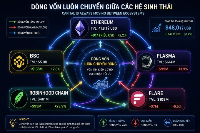 An infographic in Vietnamese titled 'DÒNG VỐN LUÔN CHUYỂN GIỮA CÁC HỆ SINH THÁI' (Capital is always moving between ecosystems), showing TVL data for Ethereum ($41.8B), BSC ($5.0B), Plasma ($614M), Robinhood Chain ($481M), and Flare ($108M).