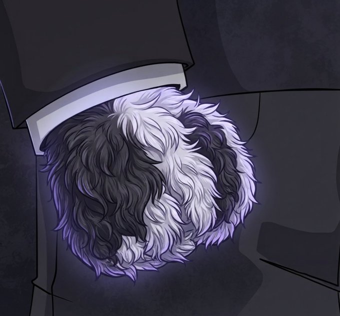 A fluffy black-and-white dog curls up tightly at the foot of a bed, bathed in a faint purple glow. The pup's cozy, tucked-in pose mirrors the "hunker down" spirit of the post urging viewers to hold their bags and brace for an imminent arrival.