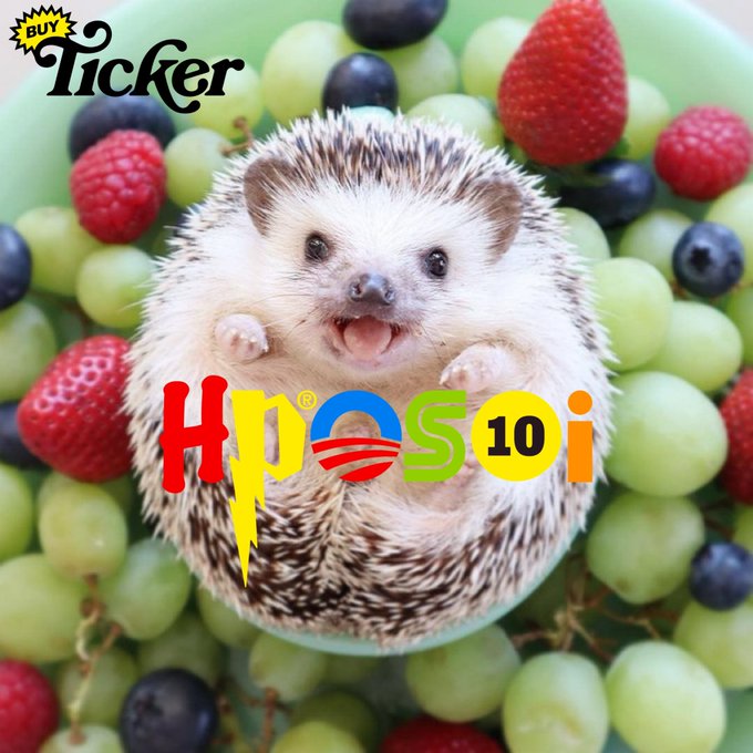 An advertisement image showing a smiling hedgehog in a bowl of grapes, strawberries, blueberries, and raspberries, with a 'BUY Ticker' badge in the corner and 'Hiposo i' branding.