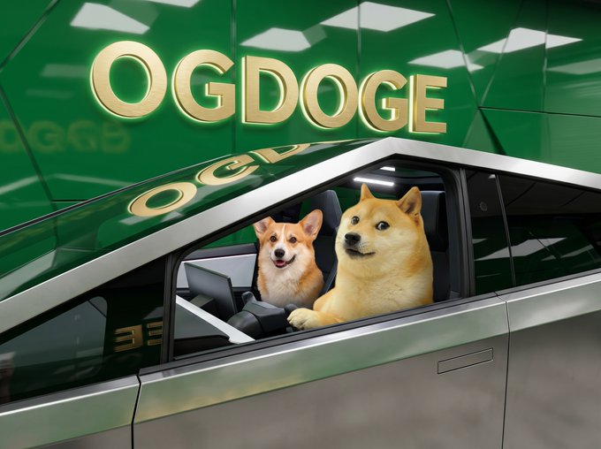 The image features two dogs sitting inside a car, with one dog appearing to be driving while the other sits at the passenger side of the vehicle. The background shows a green wall with the word "ogdodge" written on it. There is also an image of a car and a laptop computer in the scene. A caption below the image reads: "get in loser we're going to the moon!".