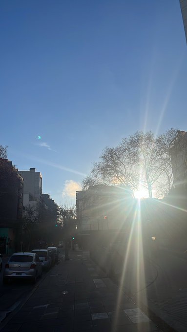 A sunlit city street scene with bright sun rays creating a starburst effect through bare tree branches, with parked cars lining the road.