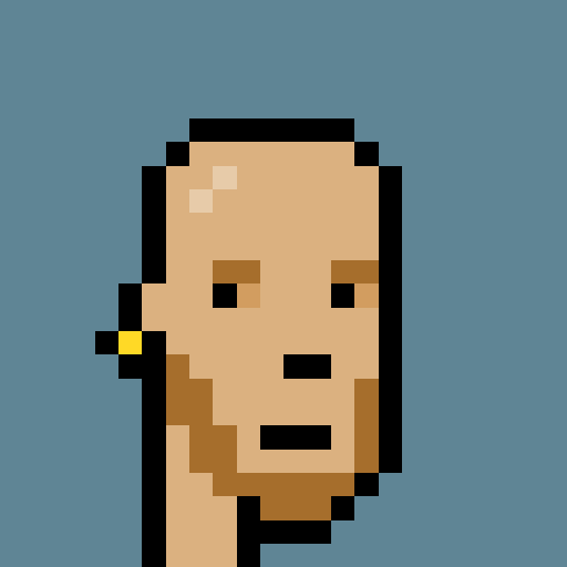 A pixel art portrait of a bald person with brown eyes and a brown beard, wearing a yellow earring, set against a solid teal background.