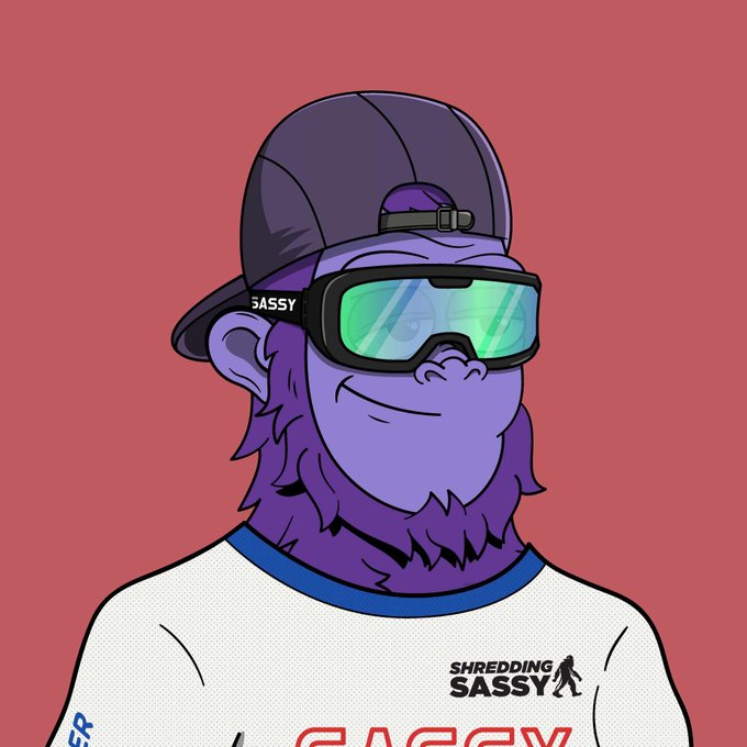 An illustrated mascot of a purple ape wearing a backwards cap, green ski goggles labeled 'SASSY', and a white shirt reading 'SHREDDING SASSY'.