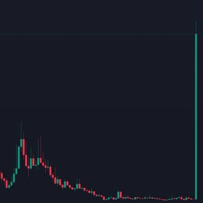 A candlestick chart displays a long period of low trading activity following an initial price peak, followed by a massive vertical green candle near the right edge that surges dramatically above the rest of the chart. The caption "What memecoin will do this?" implies an aspirational question about which cryptocurrency will experience an explosive breakout similar to the vertical spike shown.