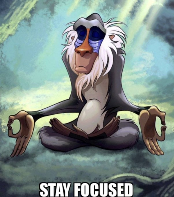 A cartoon of Rafiki from The Lion King meditating with closed eyes, captioned 'STAY FOCUSED' at the bottom.