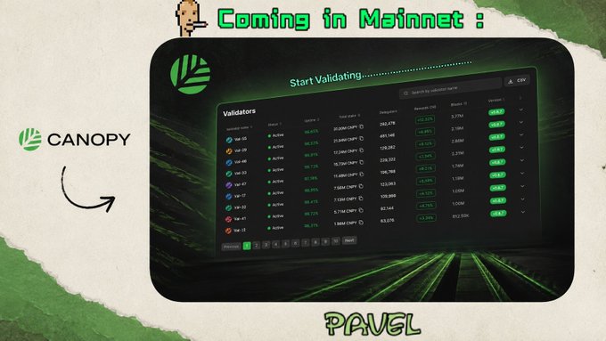 A promotional graphic titled 'Coming in Mainnet:' featuring the 'CANOPY' logo and a screenshot of a validators dashboard showing 'Start Validating...' text, with the name 'PAVEL' at the bottom.