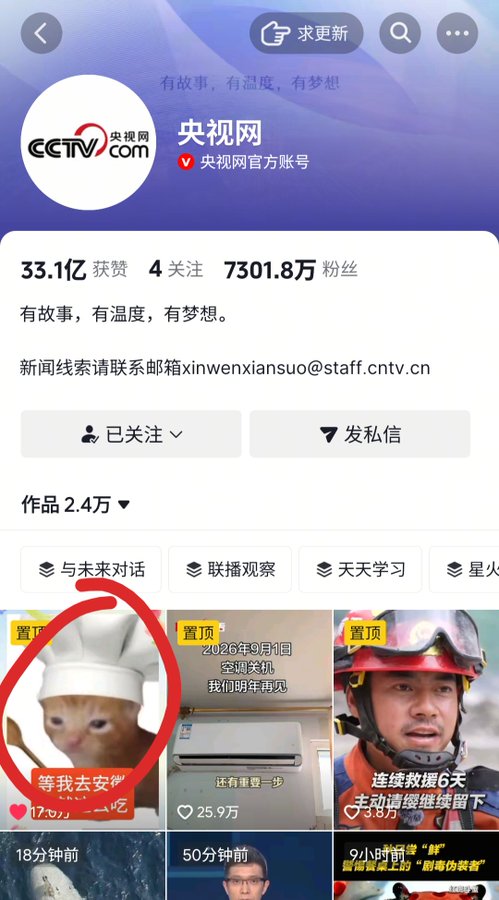 A profile page for '央视网' (CCTV.com) showing 73.018 million followers, with a video of a cat in a chef hat circled in red.