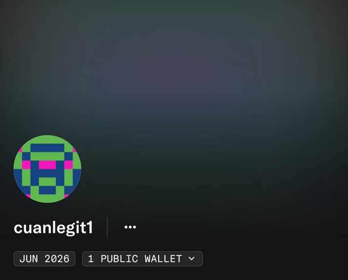 A profile page for the user 'cuanlegit1', showing a join date of Jun 2026 and 1 public wallet, with a pixelated green icon.