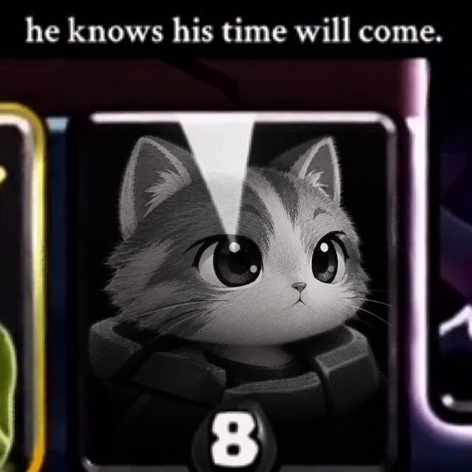 A meme featuring a sad gray and white kitten with a beam of light shining down on its head, captioned 'he knows his time will come.' with the number 8 displayed below.