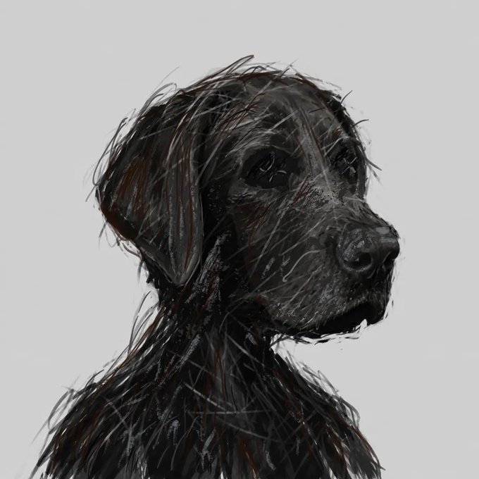 A wire-frame style digital sketch of a black Labrador dog's head and shoulders against a plain gray background.