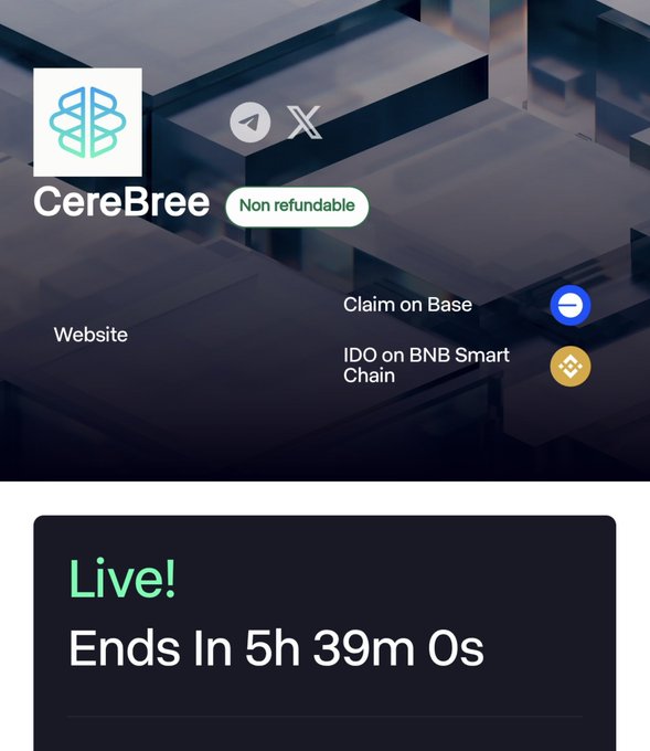 This image shows information about CereBree, a non-refundable IDO on BNB Smart Chain, with "Live!" and "Ends In 5h 39m 0s" displayed, directly correlating with the post's message about the subscription ending soon.