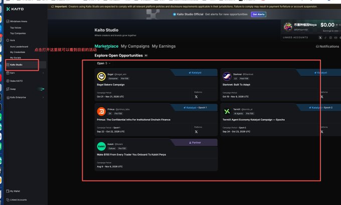 A dark-mode Kaito Studio dashboard showing the “Marketplace” tab and “Explore Open Opportunities,” with campaign cards for Kaito, Gemini, You.com, Startup Wise, and Terminai highlighted by a red box; the sidebar item “Kaito Studio” is also marked.