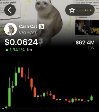 A mobile screenshot of a cryptocurrency called 'Cash Cat' (CASHCAT) trading at $0.06243, with a candlestick chart showing price action below.
