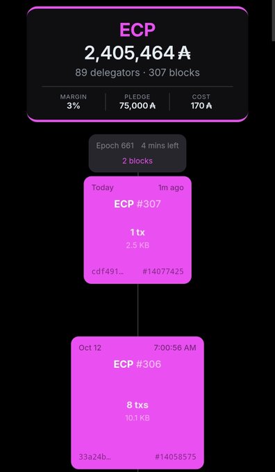 A mobile app interface displays ECP statistics showing '2,405,464 A' with 89 delegators and 307 blocks, alongside details for ECP #307 and ECP #306 blocks.
