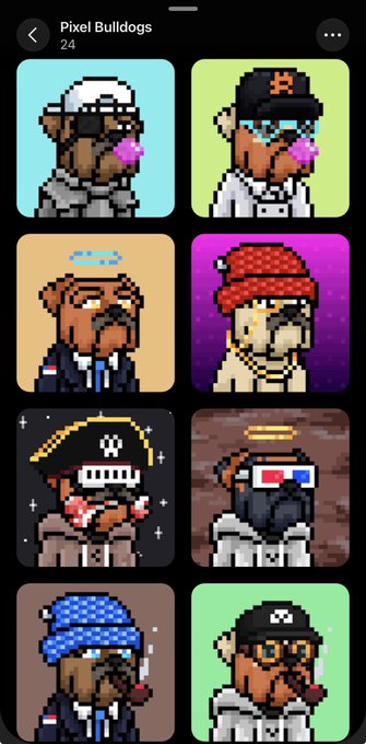 A mobile screenshot displays a collection of 24 pixel art bulldog NFTs titled "Pixel Bulldogs," featuring various characters in costumes like a pirate, baseball player, and angel, directly illustrating the user's boast about minting these MUD NFTs on SolOnChain.