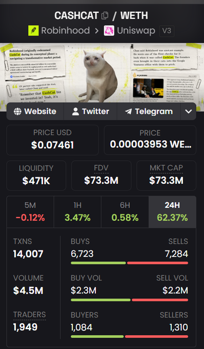 A cryptocurrency tracking page for the token CASHCAT paired with WETH, showing a price of $0.07461 and a 24H change of 62.37%.