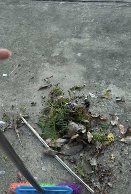 A view of a concrete ground covered with fallen leaves, twigs, and patches of green weeds, with a colorful broom partially visible at the bottom of the frame.