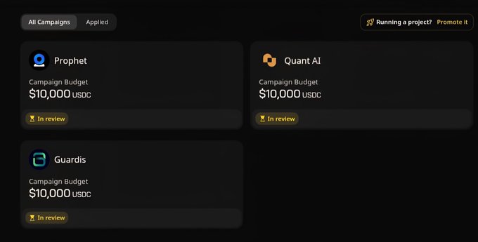 The image shows a screenshot of a website called Wallchain, which has a section dedicated to campaigns for niche creators. The main focus of this campaign is promoting creativity by providing financial support to independent artists or creators who are working on niche projects. The website offers various campaigns with different budgets and target audiences, allowing creators to choose the one that best suits their needs.
