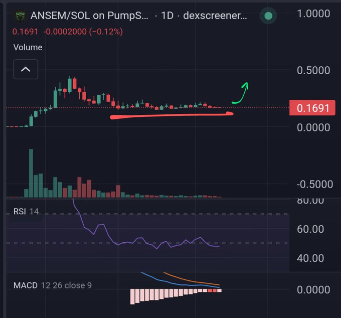 A cryptocurrency price chart from dexscreener showing 'ANSEM/SOL on PumpS...' at a price of 0.1691, featuring candlestick patterns, volume bars, RSI 14, and MACD indicators.