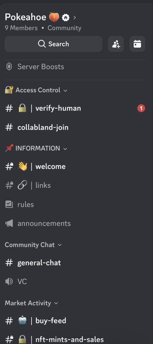 Screenshot of a Discord server sidebar for 'Pokeahoe' community (9 members) showing navigation channels including Server Boosts, Access Control, INFORMATION, Community Chat, and Market Activity sections like #welcome, #links, #general-chat, and #nft-mints-and-sales.