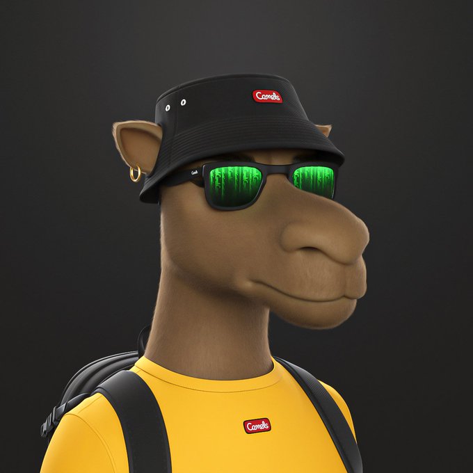 A 3D-rendered anthropomorphic camel character wears a black bucket hat with a red 'Camels' logo, reflective green sunglasses, a gold hoop earring, and a yellow shirt also bearing the 'Camels' label, set against a dark background.