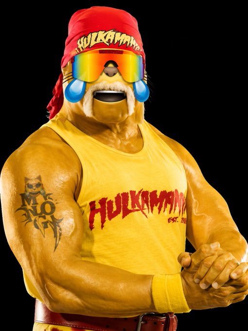 Costumed character Hulkamania wearing a red bandana, colorful reflective sunglasses, and yellow 'Hulkamania EST. 1984' tank top, displaying an 'NTO' tattoo on his arm.