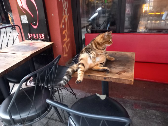 An orange tabby cat lounges in a relaxed pose on a wooden cafe table outside a pub.