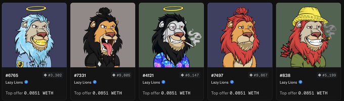Five NFT-style lion avatars are displayed with labels including “#6765 Lazy Lions,” “#7331,” “#4121,” “#7497,” and “#838,” each showing “Lazy Lions” and “Top offer 0.0851 WETH.”