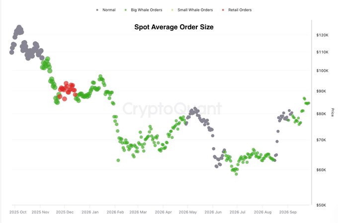 A CryptoQuant scatter plot titled "Spot Average Order Size" tracking Bitcoin order activity from October 2025 through September 2026, with dots color-coded as Normal (gray), Big Whale Orders (green), Small Whale Orders (yellow), and Retail Orders (red), showing prices ranging from $50K to $120K. The chart visually supports the post's thesis by highlighting that the December top near $90K and May top near $80K both occurred amid clusters of red retail and yellow small whale orders, while the recent September bounce to ~$85K is dominated by green big whale orders, indicating institutional/ETF-driven accumulation rather than retail FOMO.