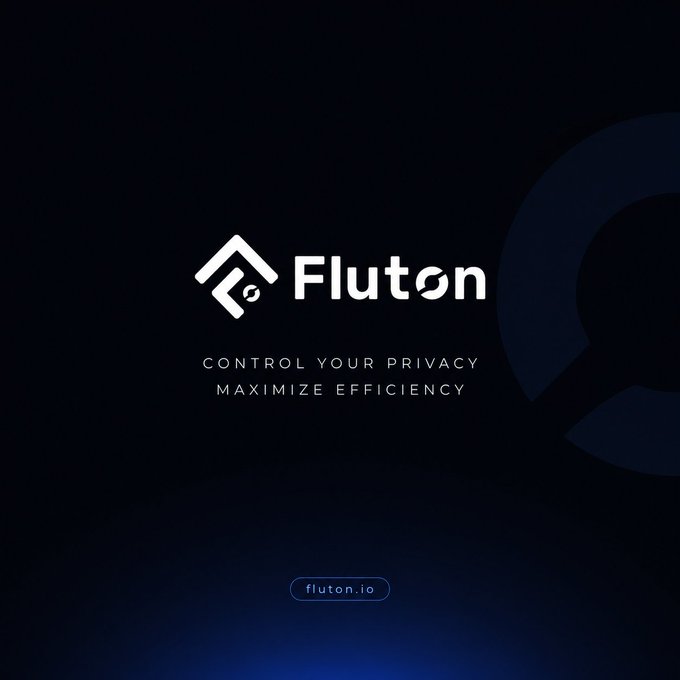 A dark blue promotional graphic for Fluton featuring its logo alongside the taglines "CONTROL YOUR PRIVACY" and "MAXIMIZE EFFICIENCY," with the website "fluton.io" displayed at the bottom. The branding visually supports the post's discussion of how Fluton's cERC20 mechanism could address the privacy and transparency issues inherent in public blockchain transactions.