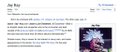 The image shows a Wikipedia page for The Weeknd with visible text discussing a "Set the world on fire" quote and an "East Village Radio interview," along with a small photo of the artist in the lower right. This relates to the post's anecdote about browsing Wikipedia pages of favorite artists, using The Weeknd's article as an example.