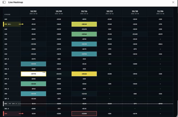 A financial "Live Heatmap" chart displaying stock options data across strike prices (382.5 to 460) and dates from 10/02 to 11/06. The "450 CALL" row is highlighted with yellow and green markers indicating call/put volume.