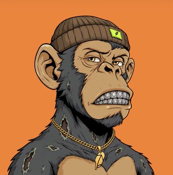 A cartoon illustration of a grumpy-looking monkey wearing a brown beanie and a gold Bitcoin chain necklace on an orange background.