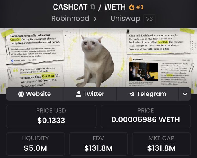 A meme coin called CASHCAT ($0.1333, FDV $131.8M) trades on Uniswap V3, marketed with articles referencing Robinhood's co-founder and Google Ventures interest, alongside an image of a unimpressed cat to reinforce the bullish sentiment of the accompanying post.
