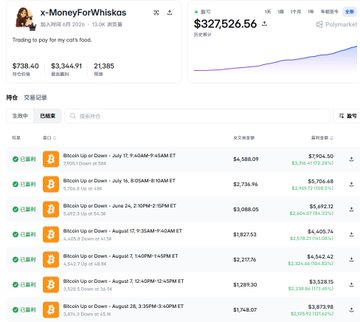 A mobile screenshot of an X (Twitter) profile for 'x-MoneyForWhiskas' displaying a Polymarket graph showing 'Bitcoin Up or Down' with a current value of $327,526.56.