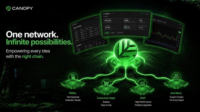 A promotional graphic for 'CANOPY' with the tagline 'One network. Infinite possibilities. Empowering every idea with the right chain,' showing blockchain dashboards and sections labeled 'RWAs Permissioned Institution-Ready', 'Consumer Apps Gasless Easy to Use', 'DeFi High Performance Forkless Upgrades', and 'And More'.