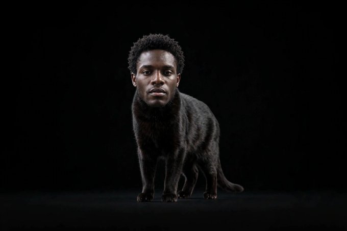 A surreal digital image shows the head of actor Chadwick Boseman placed on the body of a black cat standing against a dark background.