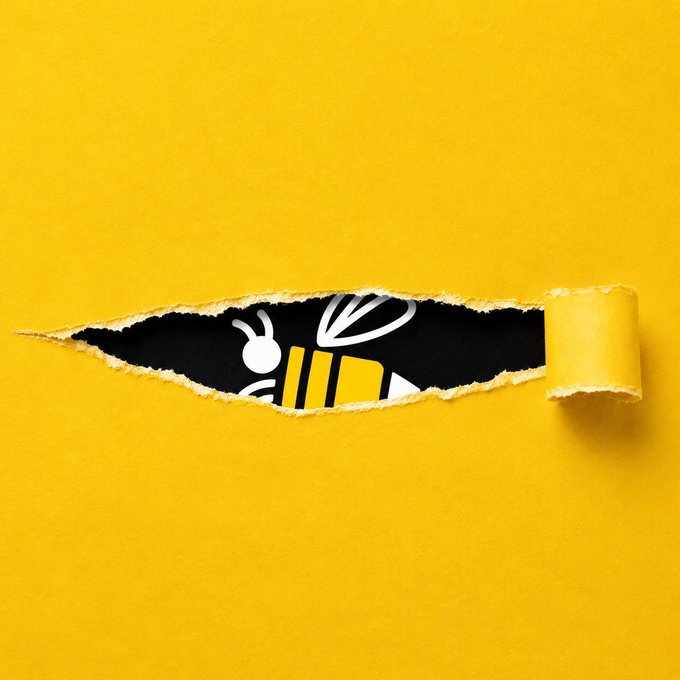 A piece of yellow paper torn horizontally to reveal a black background featuring a stylized bee logo with white wings and yellow stripes.