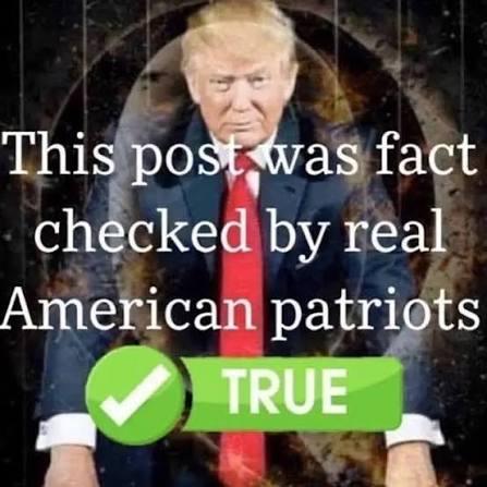 This image shows Donald Trump with text overlay stating "This post was fact checked by real American patriots" and a "TRUE" badge. The "Sent from my Pumpfun App" post likely refers to the image as a form of content shared through that platform.