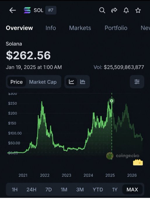 A screenshot from CoinGecko shows Solana (SOL) priced at $262.56 as of January 19, 2025, with a long-term price chart displaying peaks above $250 in early 2025. The image illustrates the post's question about whether SOL will ever return to these near-$300 levels again, highlighting the cryptocurrency's dramatic price surge and subsequent decline shown on the "MAX" timeframe.