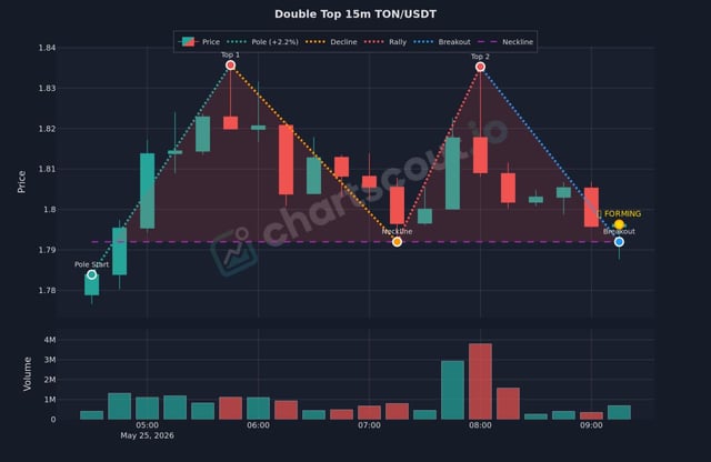 "Double Top Pattern", which means when a pattern has been observed, two top bars are being compared for differences or similarities - like seeing if there have been any increases or decreases over time.