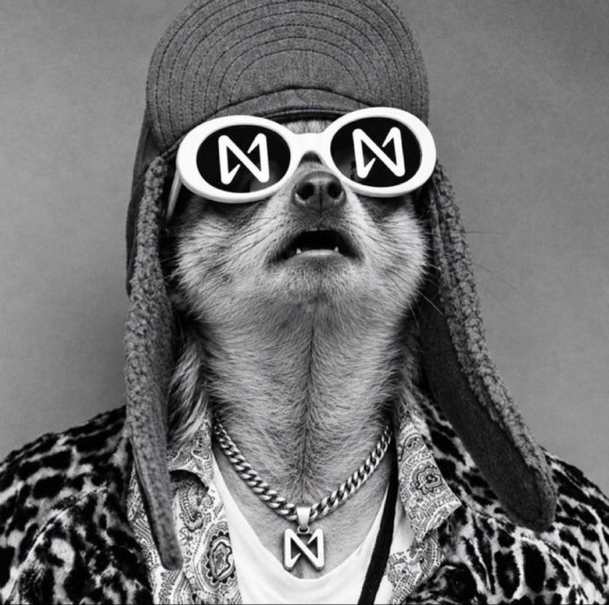 A black-and-white photo shows a dog wearing a trapper hat, oversized oval sunglasses, a leopard-print jacket, and a chain with an "N" pendant—both the glasses and pendant feature an "N" logo that mirrors the text symbol of the cryptocurrency $NEAR featured in the post. The dog's stylish, meme-worthy "alpha" pose humorously reinforces the post's bullish, hype-driven pitch for $NEAR reaching a $40 price target.