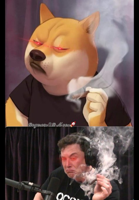 A two-panel meme image featuring an anime-style Shiba Inu dog with red glowing eyes smoking in the top panel (credited to 'DogezauriVN.Meme'), and below it, a photograph of Elon Musk smoking with digitally added red glowing eyes.